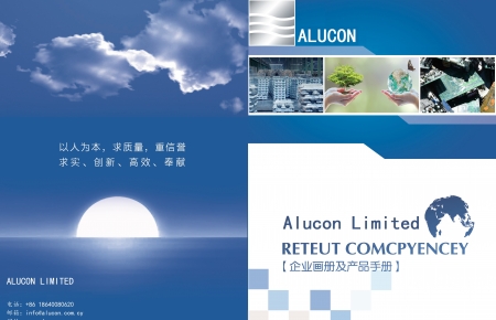 Website in Chinese Version